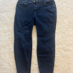 Lane Bryant Blue Skinny Jeans Classic Fit